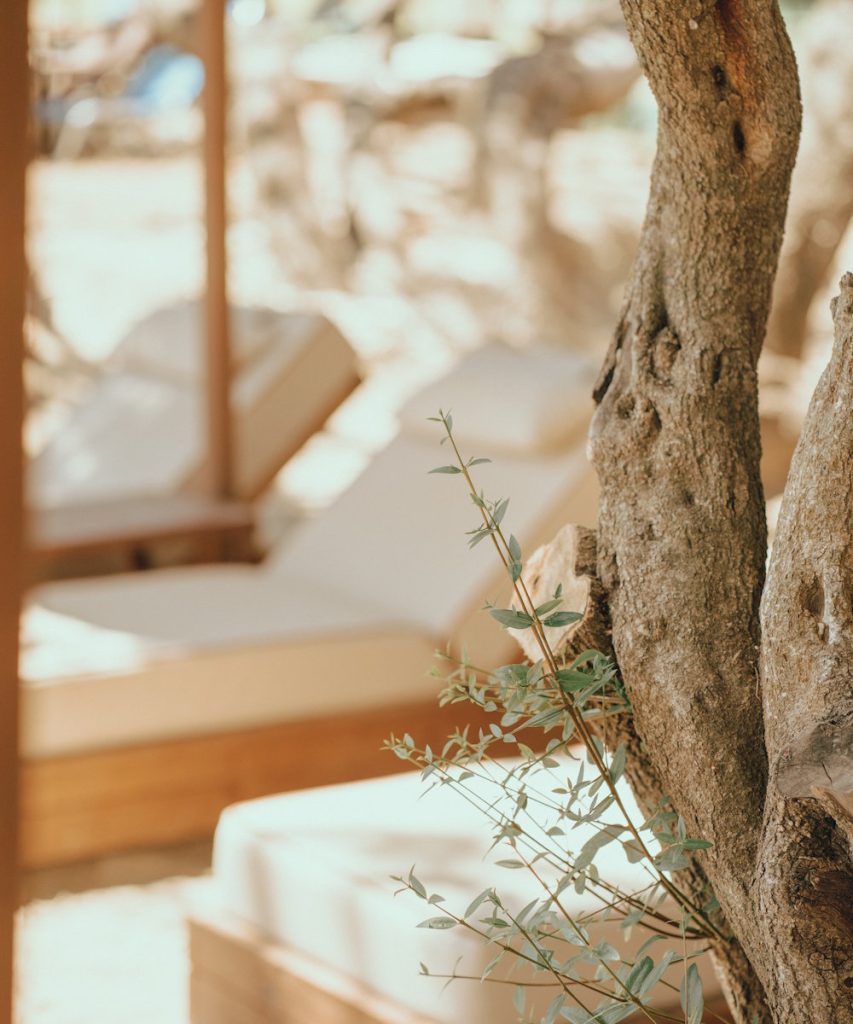 Seya Beach Bar signage, Vasilikos, Zakynthos.